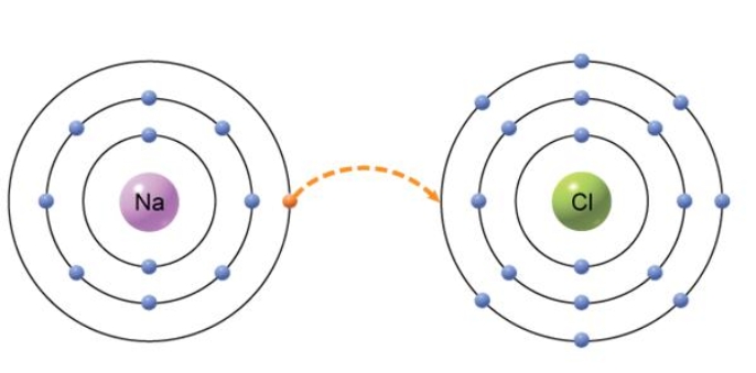The type of bond that would form from the transfer of an electron from one atom to another, shown below, is an)  ________ bond.   A)  covalent B)  ionic C)  hydrogen D)  atomic E)  isotopic
