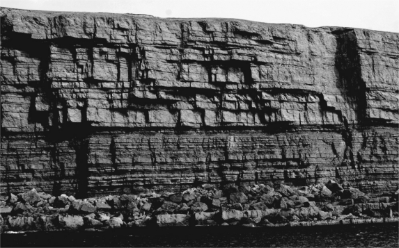The following is a picture of what type of phenomenon?   A)  jointing B)  exfoliation C)  chemical weathering D)  hydration