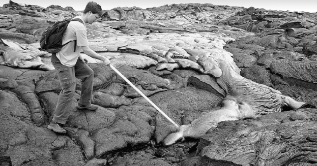 What type of rock is being formed in the photo?   A)  igneous B)  sedimentary C)  metamorphic D)  extrusive