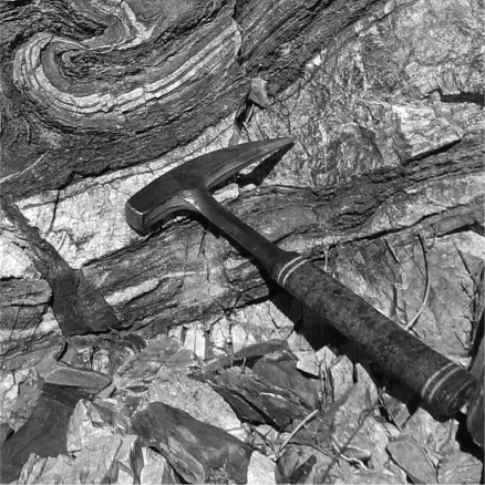 What type of rock is shown in the photo below?   A)  clastic B)  sedimentary C)  igneous D)  metamorphic