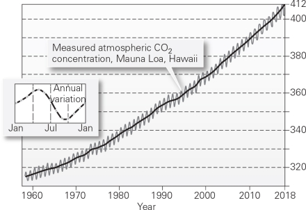 The graph below is the Keeling Curve,a record of carbon dioxide measured at Mauna Loa beginning in 1958.What can be learned from this graph? What do the two lines (black and grey)tell us?  