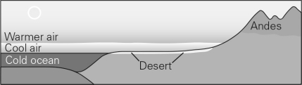 The figure below illustrates the formation of a ________.   A)  coastal desert B)  subtropical desert C)  rain-shadow desert D)  continental-interior desert