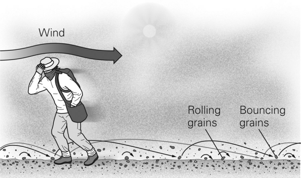 <strong>In the figure below,the sand grains are being transported by ________. </strong> A) suspension B) saltation C) surface creep D) deflation
