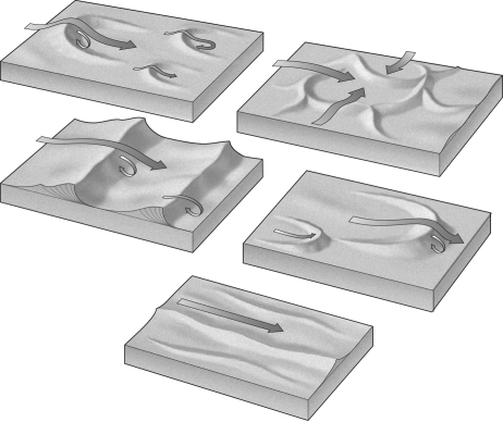 Label the image below with the name of the type of sand dune shown.  