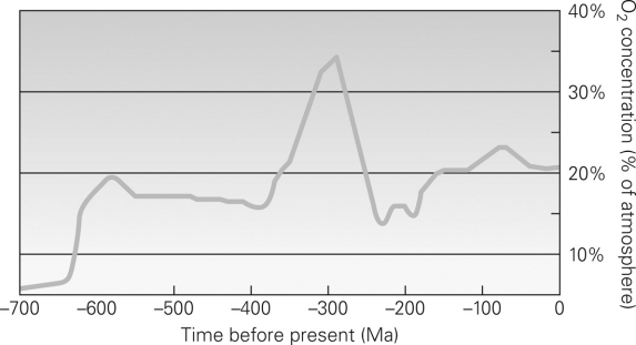 Consult the figure below.During which part of the Earth's history was the oxygen saturation in the atmosphere highest?   A)  Cambrian and Ordovician B)  Carboniferous and Permian C)  Triassic and Jurassic D)  Tertiary and Quaternary