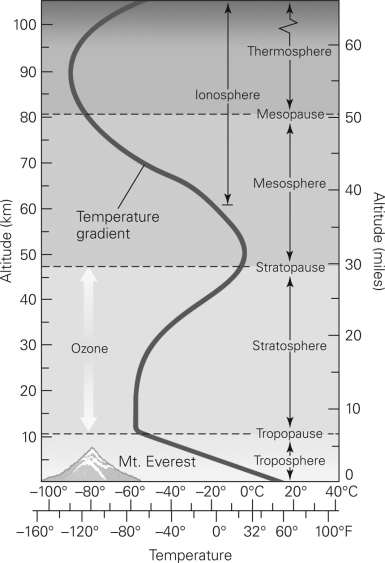 Which layer in the figure below can be thought of as the weather layer?   A)  the troposphere B)  the stratosphere C)  the mesosphere D)  the thermosphere