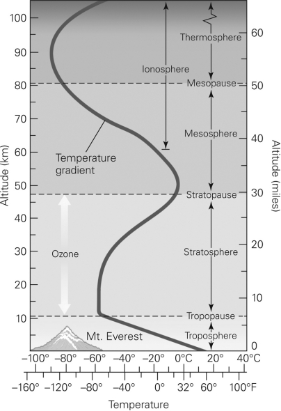 In which layer in the figure below will the temperature steadily increase as you move to higher altitudes?   A)  the troposphere B)  the stratosphere C)  the mesosphere D)  the thermosphere