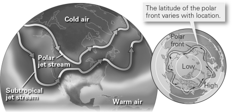 In global convective circulation,air sinks at the ________ and the ________.   A)  equator; poles B)  equator; polar fronts C)  horse latitudes; poles D)  horse latitudes; polar fronts