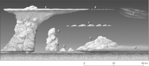 Label the cloud types in the images below using the word bank provided.   cumulonimbus cumulus congestus stratus cirrocumulus cirrus altocumulus cumulus nimbostratus