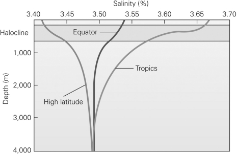 Why is the surface salinity in the tropics so much higher than that of the equator or high latitudes?   A)  There is a higher evaporation rate in the tropics. B)  There is a higher rate of precipitation in the tropics. C)  There are more continents in the tropics,and thus more sediment weathered. D)  There is a large influx of freshwater from rivers along the equator.