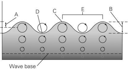 In the figure below,which letters represent the crest and trough?   A)  A and B B)  E and D C)  C and D D)  C and B
