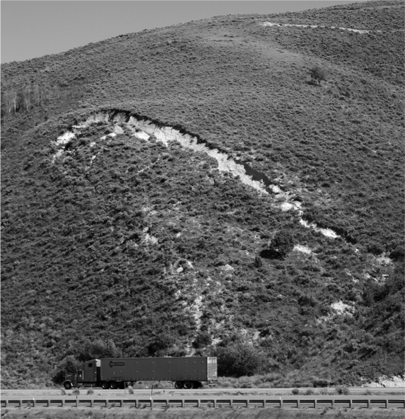 What type of mass wasting event is beginning to form on the hillside shown in the image below?   A)  an avalanche B)  a debris flow C)  solifluction D)  a slump