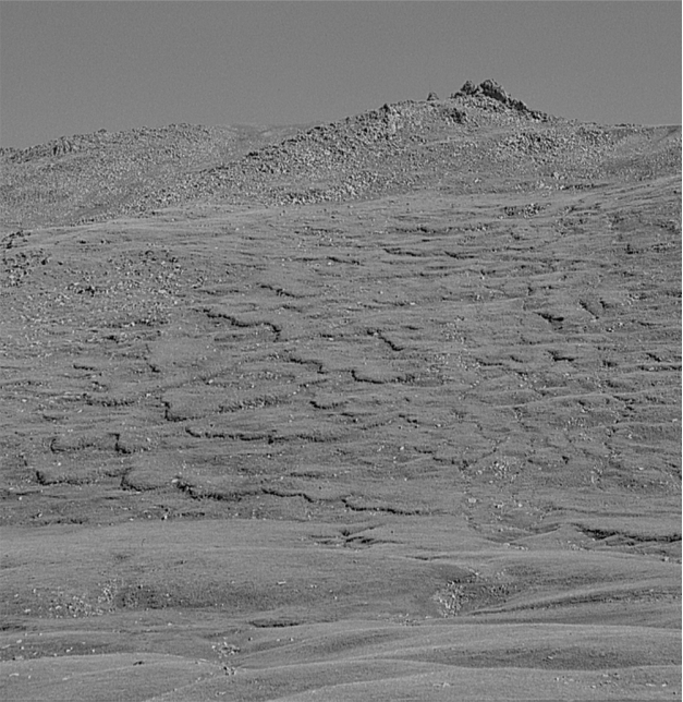 What is happening to the hillside in the tundra pictured below?   A)  an avalanche B)  a debris flow C)  solifluction D)  a slump