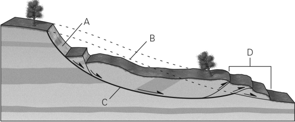 Identify the failure surface in the image below.   A)  A B)  B C)  C D)  D