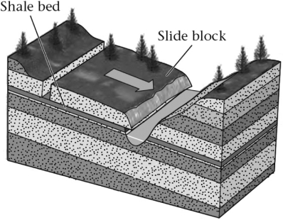 The ________ in the sequence of sedimentary rocks shown below may become a failure surface.   A)  bedding planes B)  exfoliation joints C)  foliation planes D)  uplift planes