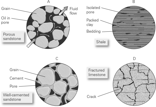 Which of the following would make the best reservoir rock in a conventional hydrocarbon system?   A)  A B)  B C)  C D)  D
