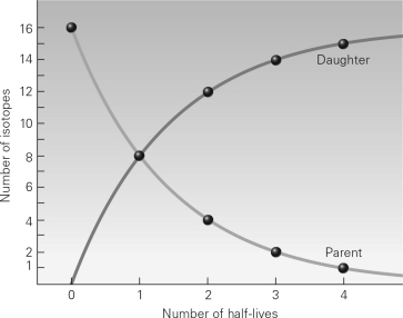 In an unweathered sample of igneous rock,the ratio of an unstable isotope to its stable daughter isotope is 1:15.If no daughters were present at the time the rock cooled below closure temperature,and the half-life of the isotope is 50 million years,how old is the rock?   A)  200 million years B)  400 million years C)  750 million years D)  1 billion years
