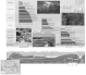 Correlate the layers in the following three stratigraphic columns by drawing lines from the top and bottom of matching formations.What is the oldest unit in this region? The youngest unit?  