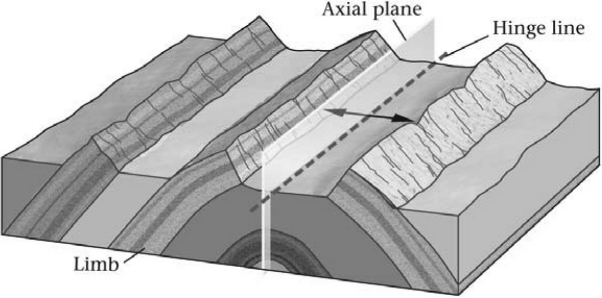 In the image below,the rocks have been bent into an elongate arch.This is a(n) ________.   A)  anticline B)  basin C)  dome D)  syncline