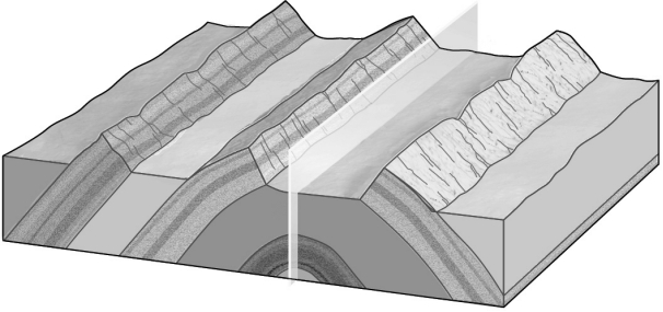 The sides of a fold,where curvature is at a minimum,are termed ________.   A)  branches B)  limbs C)  axial planes D)  hinges