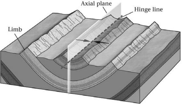 On a geologic map,if the contacts between sedimentary rock units form a series of parallel lines,with the youngest unit in the center,the underlying structure is a ________.   A)  horizontal anticline B)  plunging anticline C)  horizontal syncline D)  plunging syncline