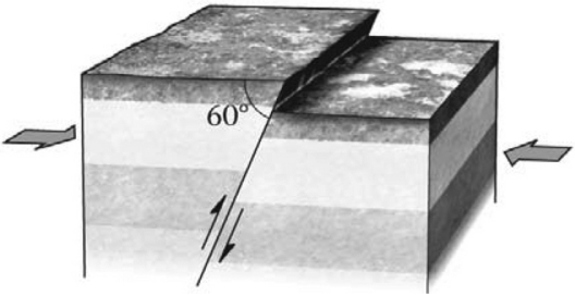 During an earthquake,if the hanging wall slides upward relative to the footwall,the fault is termed a ________ fault if the fault is steep (closer to vertical than horizontal) .Refer to the figure below for an example of such a feature.   A)  normal B)  reverse C)  strike-slip D)  thrust