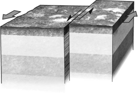 If a fault is nearly vertical in orientation and the two walls of rock on opposite sides slide past one another horizontally,the fault is termed a ________ fault.Refer to the figure below for an example of such a feature.   A)  normal B)  reverse C)  strike-slip D)  thrust