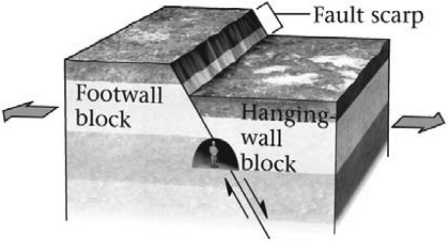 During an earthquake,if a footwall slides upward relative to a hanging wall (as shown in the figure below) ,the fault is termed a ________ fault.   A)  normal B)  reverse C)  strike-slip D)  thrust