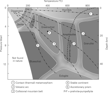 Consult the figure below.Compared with amphibolite metamorphic facies,greenschist facies   A)  consist of lower-grade rocks. B)  consist of higher-grade rocks. C)  involve partially melted rocks. D)  have the same grade but a different chemistry due to different protoliths.