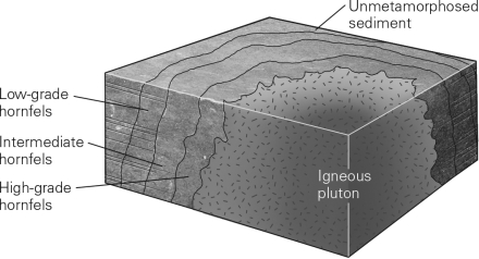 Consult the figure below.The region of thermally metamorphosed rock surrounding a cooled pluton is called a (n)    A)  shear zone. B)  aureole. C)  oriole. D)  metamorphic ring.