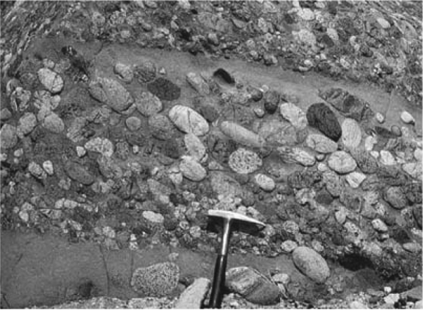 The image below shows an outcrop of coarse-grained sedimentary rock.Note the rock hammer for scale.What is the name of this rock type?   A)  sandstone B)  shale C)  breccia D)  conglomerate
