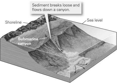 Notice the turbidity current in the image below.Briefly describe and sketch the deposit that will result.  
