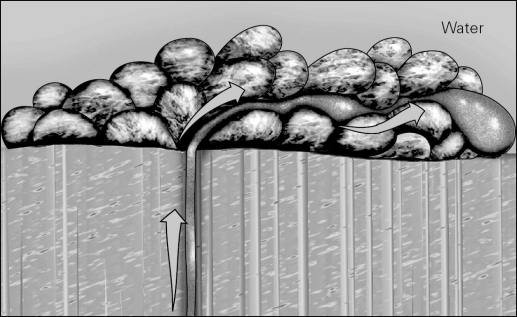The figure below shows mafic magma as it meets the seafloor,which cools to form an igneous rock called   A)  pegmatite. B)  pillow basalt. C)  laccolith. D)  pluton.
