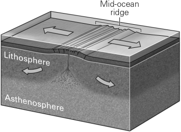 Which basic type of plate boundary is shown in the image below?   A)  Divergent B)  Convergent C)  Transvergent D)  Transform