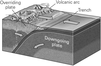 Which basic type of plate boundary is shown in the image below?   A)  Divergent B)  Convergent C)  Transvergent D)  Transform