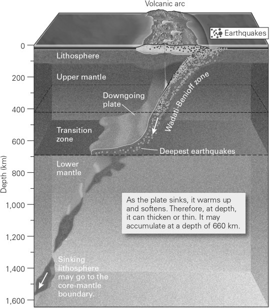 The image below shows a cross-sectional view of a typical subduction zone,with earthquake locations shown with small dots.The band of earthquakes that follows the shape of the downgoing plate is termed the ________ zone.   A)  transform fault B)  collisional C)  Wegener D)  Wadati-Benioff
