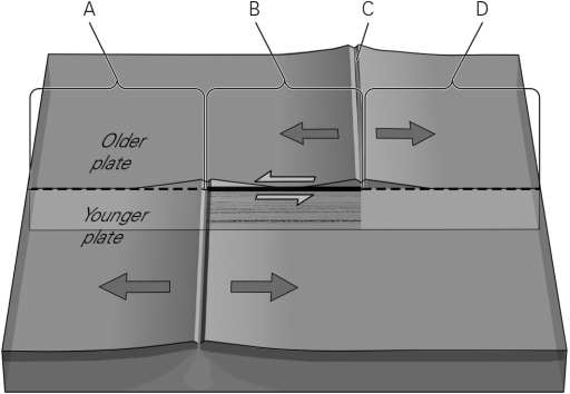The image below shows a view of a typical segmented mid-ocean ridge.Which letter below marks the location of the active transform fault?   A)  A B)  B C)  C D)  D