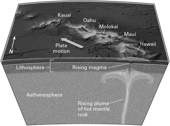 Consult the figure below.Hawaii is an example of   A)  hot-spot volcanism. B)  mid-ocean ridge volcanism. C)  volcanic island arc formed by subduction. D)  volcanic continental arc formed by subduction.