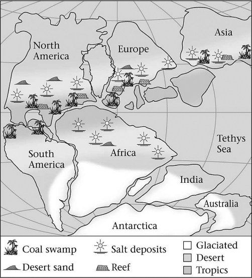 Consult the figure below.Abundant swamps led to the formation of coal during the Late Paleozoic in which of the following places?   A)  India B)  Southern Africa C)  North America D)  Antarctica