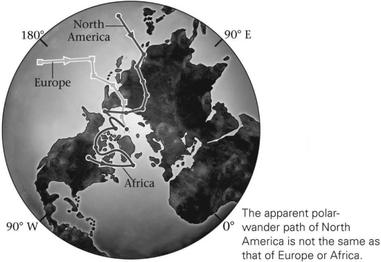 The discovery that each continent had different and separate apparent polar-wander paths,such as those in the figure below,proved that   A)  the continents move. B)  the poles move. C)  both the poles and continents move,but only one at a time. D)  both the poles and continents move,and do so together.