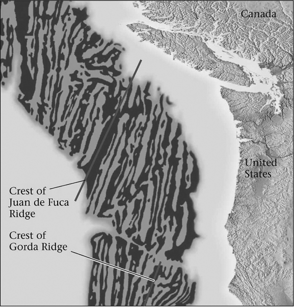 According to the figure below,marine magnetic anomalies lay roughly ________ to mid-ocean ridges.   A)  perpendicular B)  parallel C)  adjacent D)  at an obtuse angle