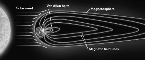 The following image shows the Earth's magnetic field.The Earth's magnetic field lines are distorted (i.e.,not symmetrical) because   A)  the Earth is rapidly rotating around the Sun. B)  the Earth is rotating on an internal axis. C)  convection is occurring in the outer core D)  solar wind deflects the Earth's magnetic field lines.