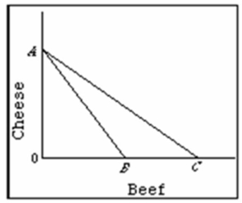 Refer to the diagram below in which line AB is Canadian production possibility curve and AC is its trading possibilities curve.The international exchange ratio between beef and cheese (terms of trade) :   A) is the absolute value of slope of line AB. B) is the absolute value of slope of line AC. C) could lie anywhere between the absolute value of the slopes of lines AB and AC. D) cannot be determined on the basis of this information.