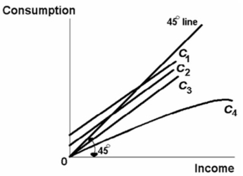   Refer to the above diagram.The MPC and APC are both constant as income increases for: A) none of the consumption schedules shown. B) C<sub>3</sub> only. C) C<sub>3</sub> and C<sub>4</sub> only. D) C<sub>1</sub> and C<sub>2</sub> only.