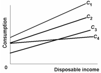   Refer to the consumption schedules shown in the above diagram for economies 1, 2, 3, and 4.Other things equal, which economy embodies the greatest degree of macroeconomic stability? A) 1 B) 2 C) 3 D) 4