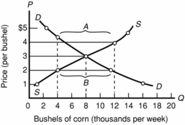 Refer to the diagram below for the market for corn.The equilibrium price and quantity in this market are:   A) $4 and 10,000 bushels. B) $3 and 8,000 bushels. C) $2 and 4,000 bushels. D) $2 and 11,000 bushels.