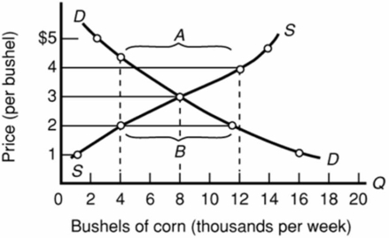 Refer to the diagram illustrating the market for corn.If the price in this market were to be fixed at $4 per bushel, the part of the line marked A would represent a:   A) surplus of 8,000 bushels. B) shortage of 8,000 bushels. C) surplus of 7,000 bushels. D) shortage of 7,000 bushels.