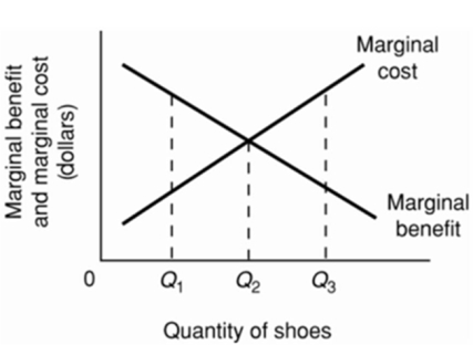   Refer to the above diagram for athletic shoes.The optimal output of shoes: A) is Q<sub>1</sub>. B) is Q<sub>2</sub>. C) is Q<sub>3</sub>. D) is greater than Q<sub>3</sub>.