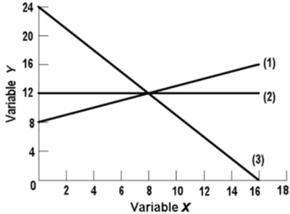  In line (3)  on the above graph, variables x and y are: A) directly related. B) negatively related. C) positively related. D) nonlinearly related.