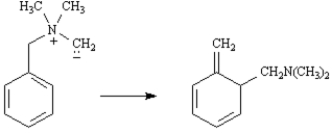 Exhibit 30-7 Consider the Sommelet-Hauser rearrangement below to answer the following question(s):   -Refer to Exhibit 30-7. Would you expect the Sommelet-Hauser rearrangement to be antarafacial or suprafacial? Explain.